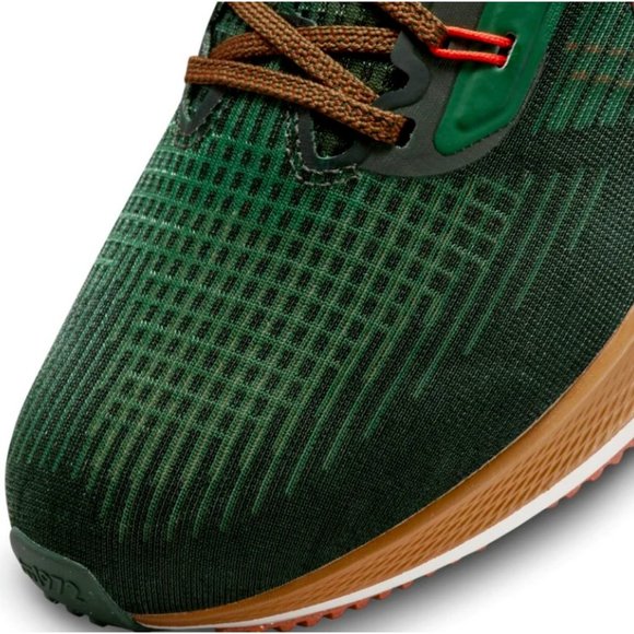 NIKE AIR ZOOM PEGASUS 39 A.I.R. HOLA LOU MEN\'S Size 13 NWOB main image 15